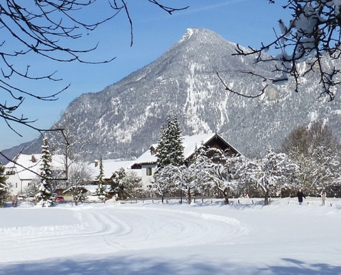 Touren Winterwanderungen Oberaudorf | Oberbayern Bayerisches Alpenvorland