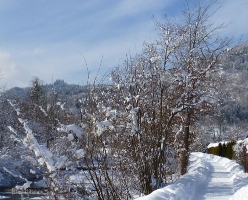 Winterwandern Oberaudorf | Oberbayern Bayerisches Alpenvorland