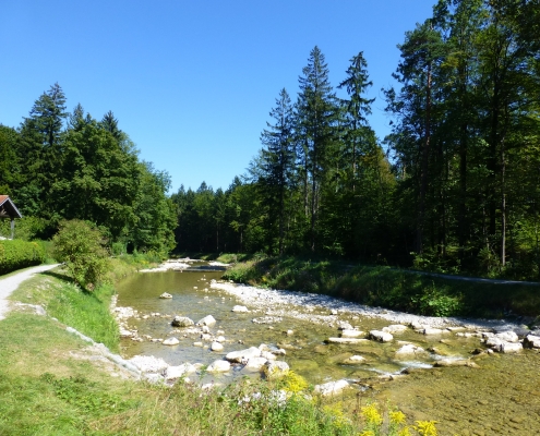 Erfrischen und Baden im Auerbach Oberaudorf