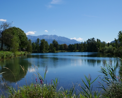 See in Bayern: Badesee Niederaudorfer See