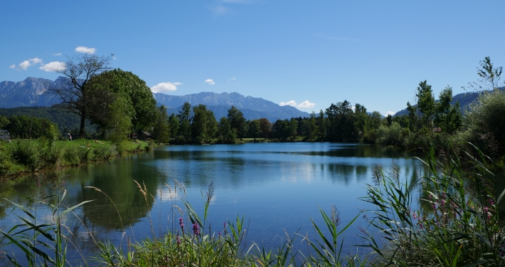 See in Bayern: Badesee Niederaudorfer See