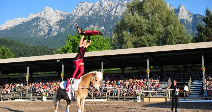 Ausflugsziel Fohlenhof Ebbs