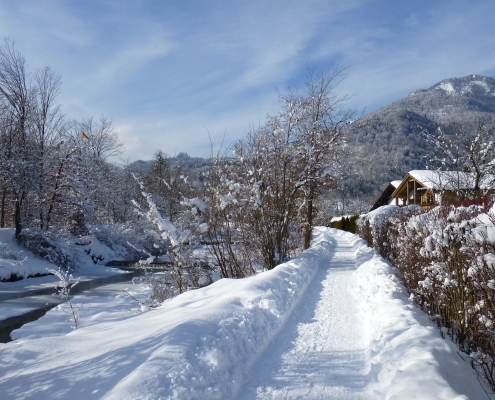 Winter am Auerbach in Oberaudorf